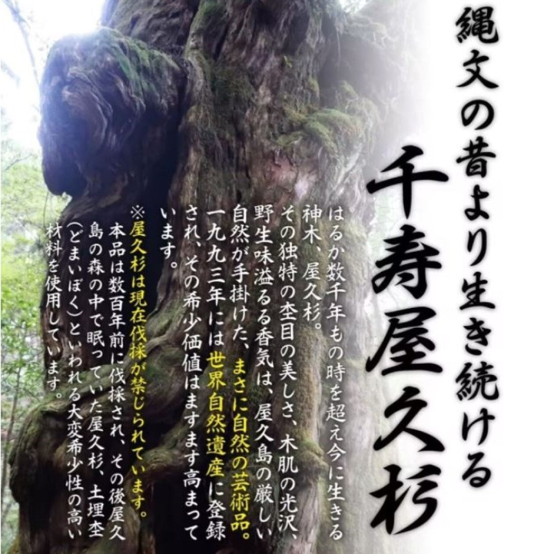 神棚 雲 雲型 壁掛け 屋久杉 御札立て 屋久島産 簡単 設置 傷がつかない 取付ピン付き 簡易式 さくら禅 新築 開店