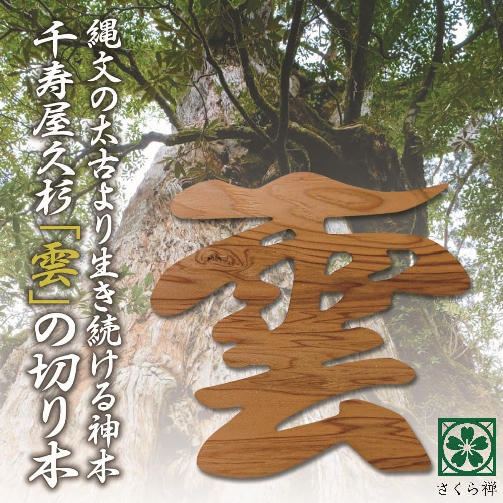 雲 雲板 15×14cm 屋久杉 神棚 神具 屋久島産 神木 切り文字 簡単 貼って はがせる 粘着ガム付き 世界遺産 天井貼付け 天然木 千寿 やくすぎ