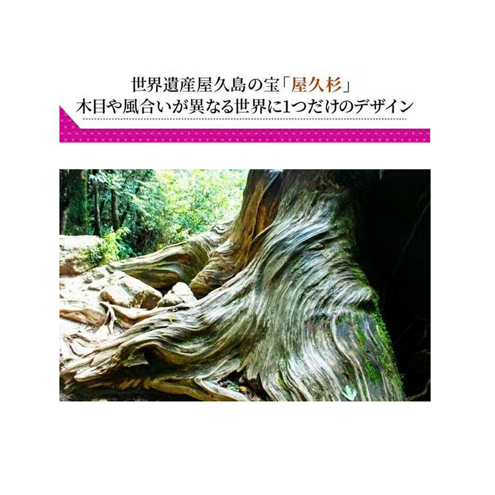 神木屋久杉・壁掛け用雲型(コンパクト)七福宝船根付