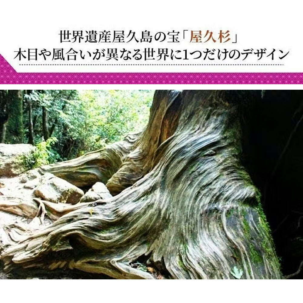 神木屋久杉・神明鳥居(スタンダード)水晶和紙の雲セット