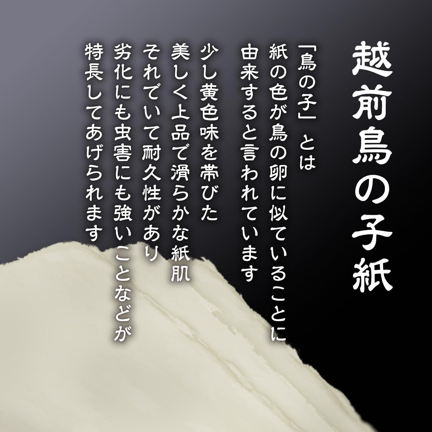 最高級品 日本製 簡単設置 接着粘土付き 越前鳥の子和紙 (白色)