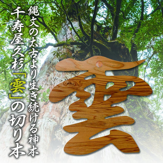 さくら禅 雲 雲板 12×12cm 水晶付き 屋久杉 神棚 神具 屋久島産 神木 切り文字 簡単 貼って はがせる 粘着ガム付き 世界遺産 天井貼付け 天然木 千寿 やくすぎ（ 水晶装飾 ）