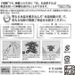 [ さくら禅 ] 神棚 壁掛け 万能モダン 彩雲 水晶 鳥居 国産 ひのき 檜 製 水晶 装飾 お札立て モダン 棚板 (神明 水晶和紙の雲)